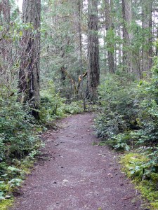 The trail to the theater