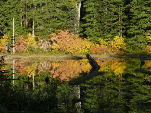 North Cascades Highway